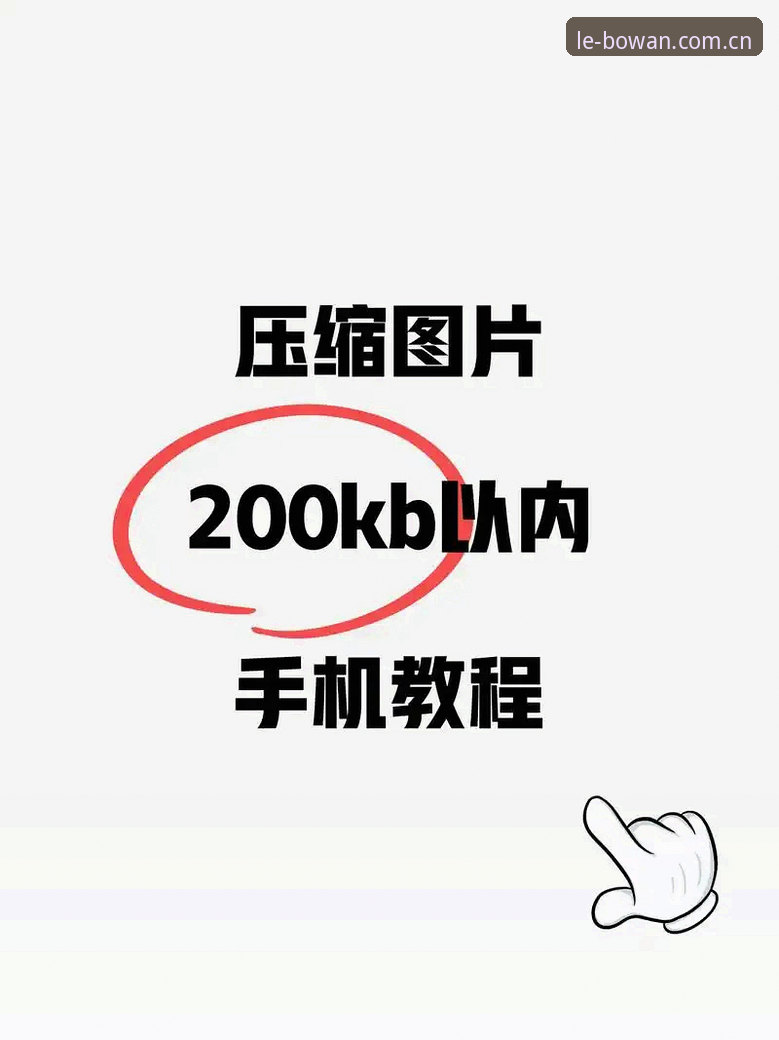博万APP注册教程全面评测：从下载到登录的完整技术解析